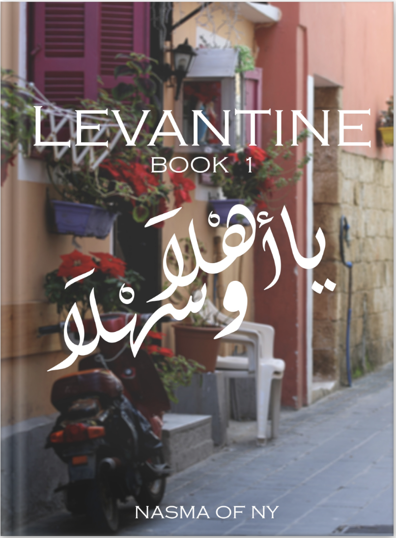 Discover the Richness: with Levantine Arabic Book 1 for Beginners ...