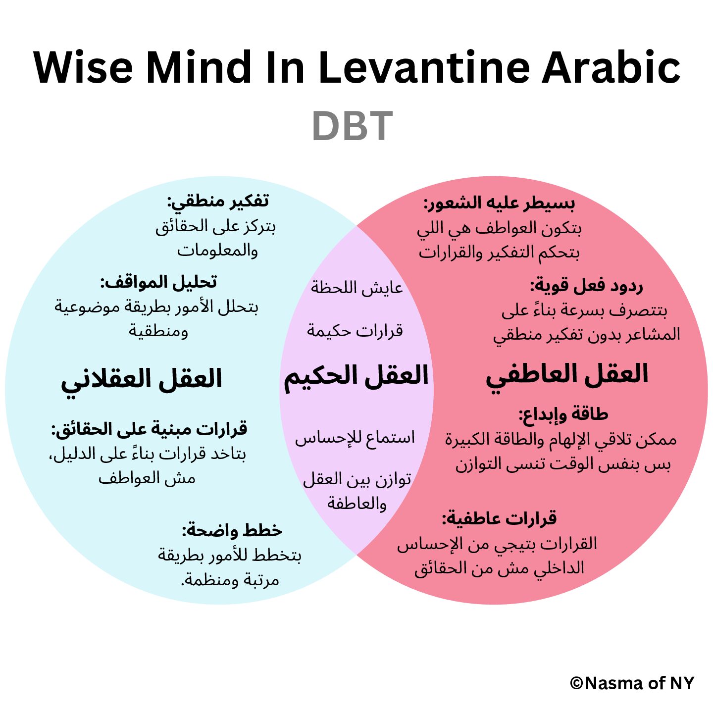 Exploring the Wise Mind in Levantine Arabic